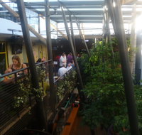 Terminus Hotel - Hotel QLD