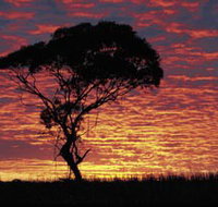 Kimba Caravan Park amp Motel - Hotel QLD