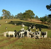 St Columba Cottage - Hotel QLD