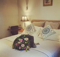 Springs Creek - Hotel QLD