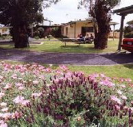 Brigadoon Holiday Units - Hotel QLD