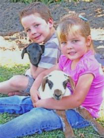 Sarina Motor Inn - Hotel QLD 0