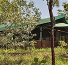 Arnhemland Barramundi Nature Lodge - Hotel QLD