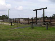 Mt White Lodge - Hotel QLD 2