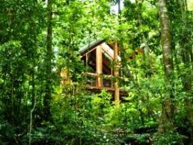 Tarzali QLD Hotel QLD