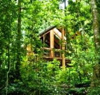 Fur'N'Feathers Rainforest Tree Houses - Hotel QLD