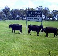 Cluan Homestead - Hotel QLD