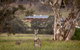 Emirates One&Only Wolgan Valley Australia - thumb 8
