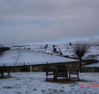 Bowen Inn Motel - Hotel QLD