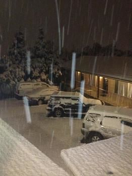 Lithgow Parkside Motor Inn - Hotel QLD 8