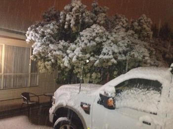 Lithgow Parkside Motor Inn - Hotel QLD 10