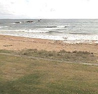Penguin Caravan Park - Hotel QLD