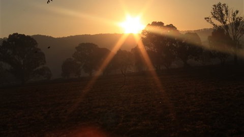 Gentle Annie Caravan And Camping Reserve - Hotel QLD 1