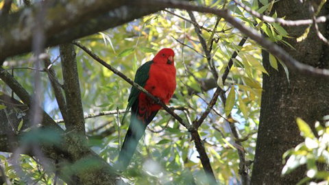 Gentle Annie Caravan And Camping Reserve - Hotel QLD 2
