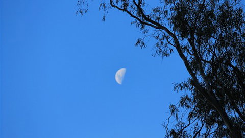 Gentle Annie Caravan And Camping Reserve - Hotel QLD 4