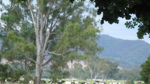 Gentle Annie Caravan And Camping Reserve - Hotel QLD 3