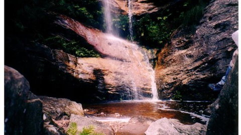 Happy Wanderer Holiday Resort - Hotel QLD 1