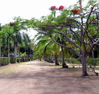 Alva Beach Tourist Park - Hotel QLD