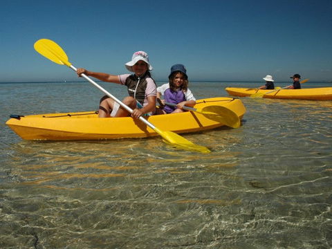 Ceduna Shelly Beach Caravan Park - Hotel QLD 4