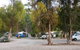 Gladstone Caravan Park - thumb 3