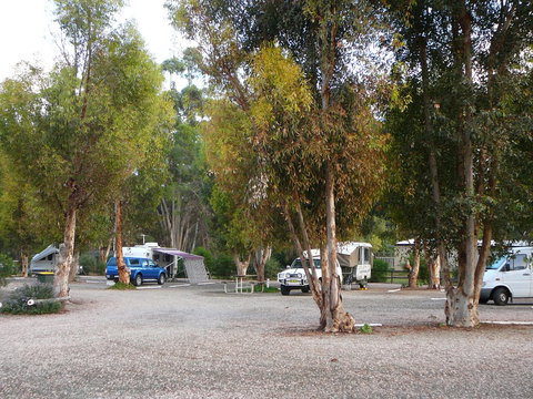 Gladstone Caravan Park - Hotel QLD 3