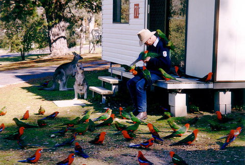 Inland Waters Holiday Parks Burrinjuck - Hotel QLD 0