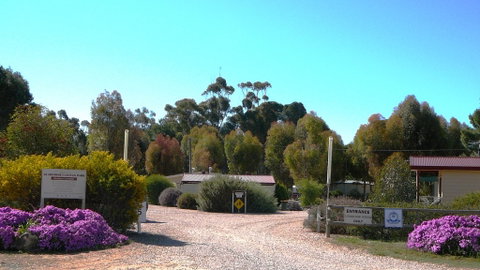 Gladstone Caravan Park - Hotel QLD 6