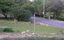 Burrinjuck Waters Holiday Park Accommodation - Hotel QLD 2