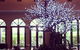 Shangri-La Gardens - thumb 1