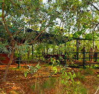 Arnhemland Barramundi Nature Lodge - Hotel QLD