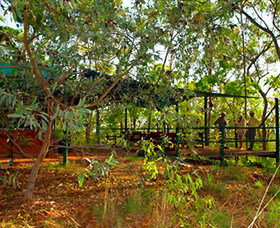 Arnhemland Barramundi Nature Lodge - Hotel QLD 0