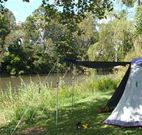 Williams River Holiday Park - Hotel QLD
