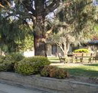 Hamilton Hume Motor Inn - Yass - Hotel QLD