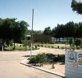 Shoreline Caravan Park - Hotel QLD