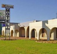Citrus Motel - Hotel QLD