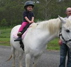 Mansfield Cottage Barrington Tops Accommodation - Hotel QLD
