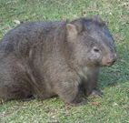 Seakissed Beachhouse