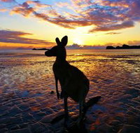 Cape Hillsborough Nature Tourist Park - Hotel QLD
