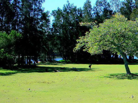 Lake Conjola Waterfront Holiday Park - Hotel QLD 2