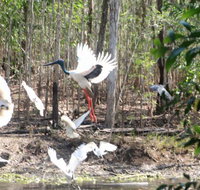 Rakhi Retreat - Hotel QLD