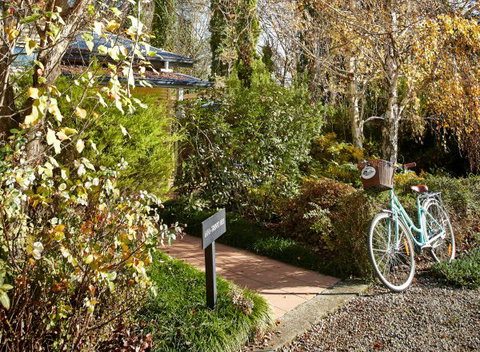 Pizzini's Vineyard Guesthouse - Hotel QLD 5