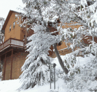 Corio Ski Club - Hotel QLD