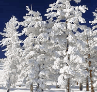 Mt Buller Apartment Management Services - Hotel QLD