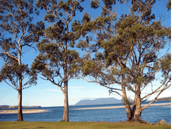 Island View Motel - Hotel QLD 3