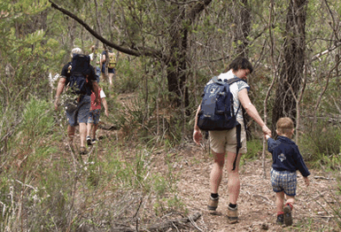 Bicheno East Coast Holiday Park - Hotel QLD 3