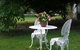 Coodravale Homestead - thumb 4