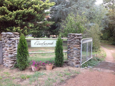 Coodravale Homestead - Hotel QLD 5