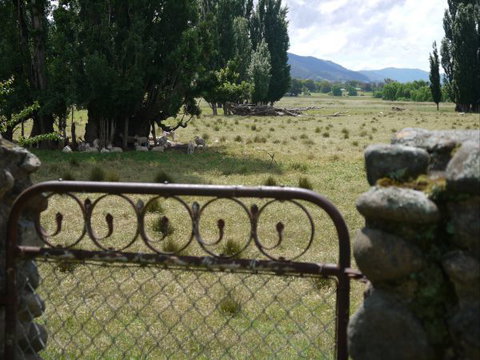 Coodravale Homestead - Hotel QLD 7