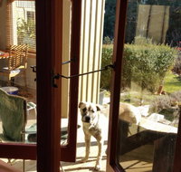 Mara Ponds Branxholm - Hotel QLD