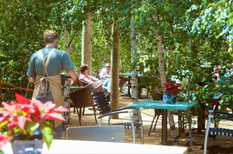 Oakdene Vineyards Guesthouse - Hotel QLD 5